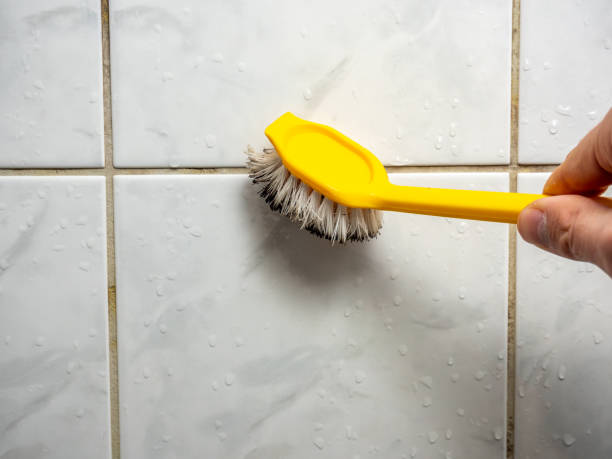 Best Mold Removal Company Near Me  in New Glarus, WI