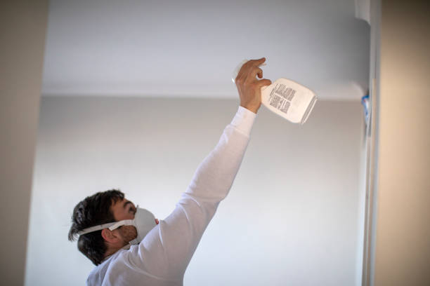 Best Office Mold Removal Services  in New Glarus, WI