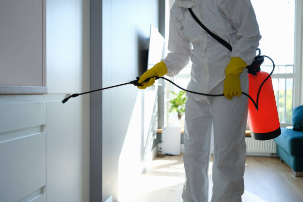 Best Attic Mold Removal  in New Glarus, WI