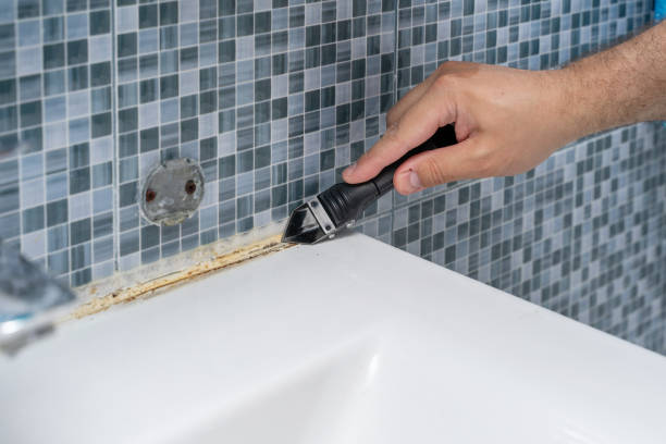 Best Mold Removal Process  in New Glarus, WI