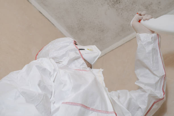 Best Toxic Mold Removal  in New Glarus, WI