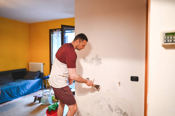 Best Professional Mold Removal  in New Glarus, WI